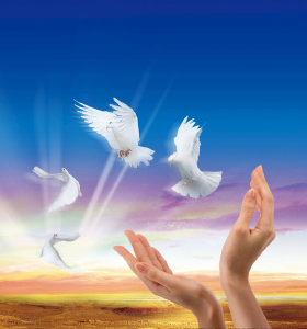 新利网页版食品